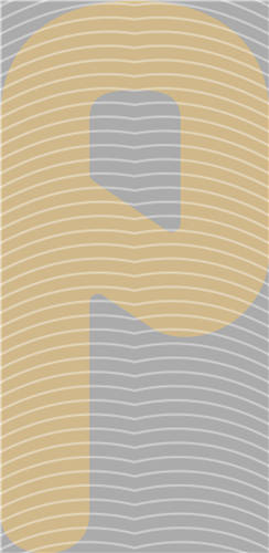 NBA and Team-QD 2191